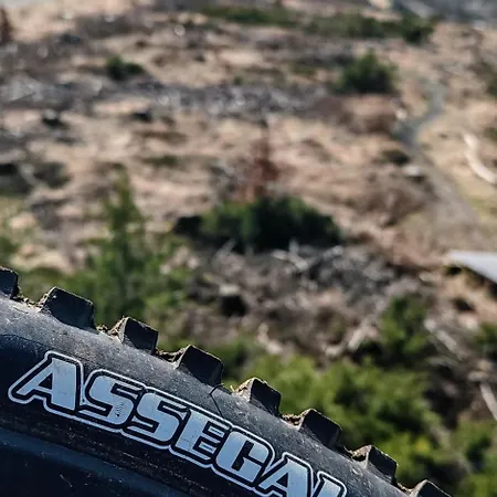 Harzbeat Apartment *