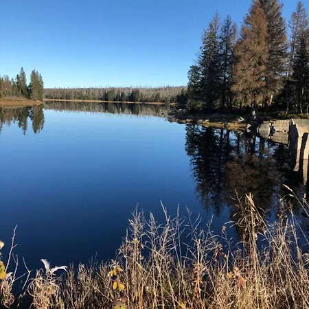 アパート Harzbeat *