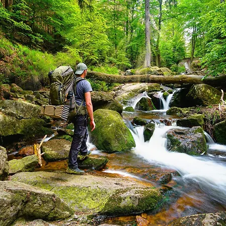 Apartment Harzbeat *